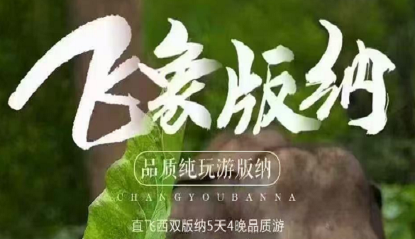 2025武汉到西双版纳夕阳红旅游-林间立时种着清新甘香-直飞5日游